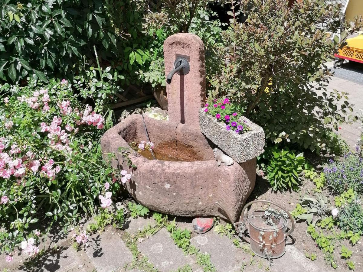 Jogis Ferienwohnungen Freiburg im Breisgau Buitenkant foto